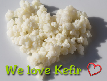 Köstlichen Kefir/Milchkefir sicher und einfach mit unseren Kefirknollen herstellen - Wir lieben Kefir - Sie auch?
