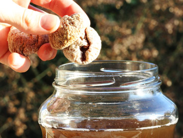 Köstliches Ginger Root Beer herstellen - ein Erfahrungsbericht und Rezept