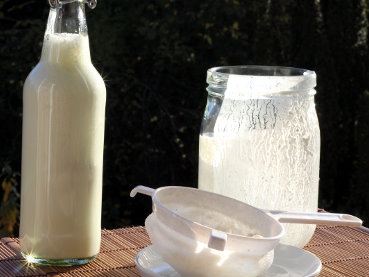 How to easy produce Kefir at home? Brewing Milk Kefir easy - Is Kefir healthy? - Guarantee of success -   guidance and tutorial for free Milk Kefir starter kit