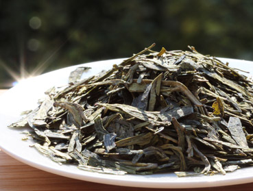 Which tea is perfect for your Kombucha production? Just click here to find it out.