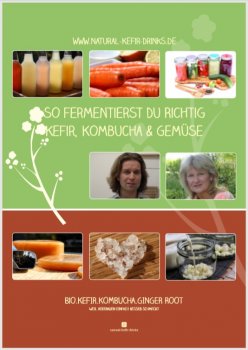 Wonderful 232-pages Fementation eBook with detailed tutorial about kefir, kombucha and fermented vegetables,and the best 80 recipes as pdf. e-book (German version)