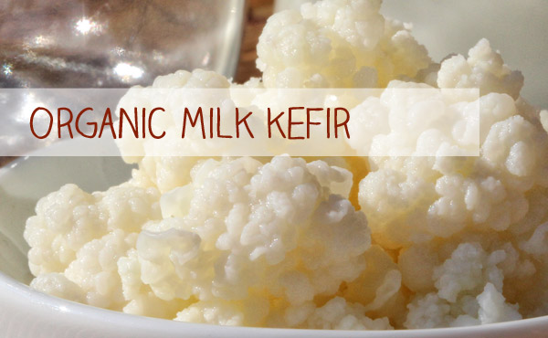 Organic Kefir and Milk Kefir for your Kefir production is just one click away