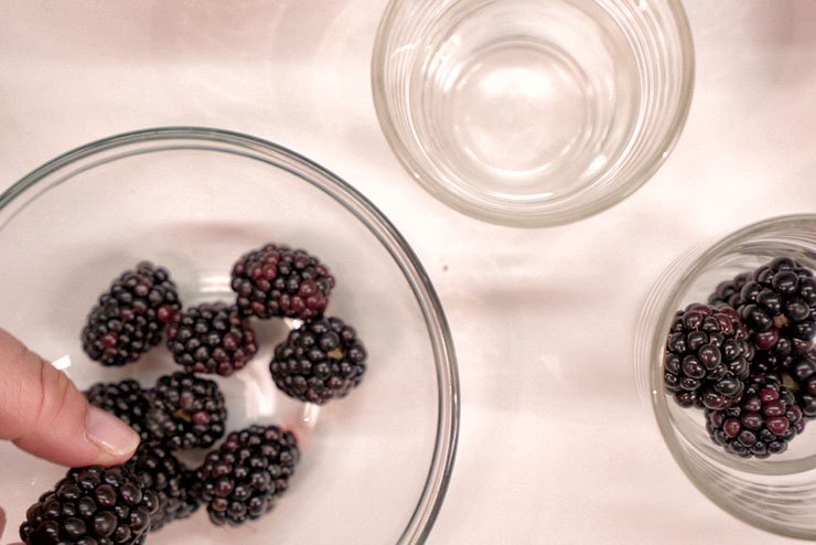 Kefir Stracciatella Cream – Vanilla meets Organic Kefir, Blackberries and Chocolate