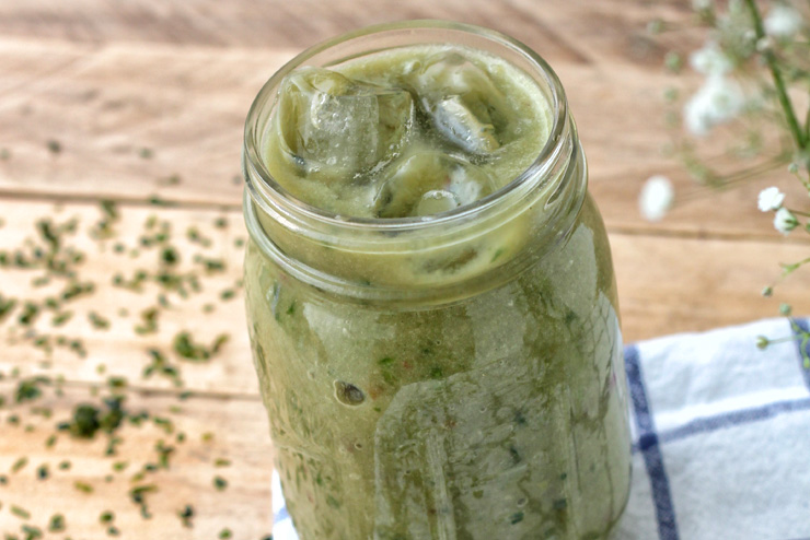 Avocado trifft Spirulina im Kombucha Drink mit Apfel und Gurke - EinTurbo für deinen Tag - Das Eis