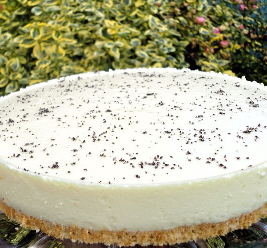 Kefir Cheesecake - a tasty cake recipe for all milk kefir lovers – finished cake