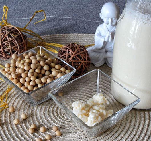 Homemade soy milk kefir made from active kefir grains – The ingredients