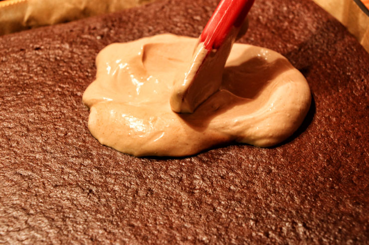 Kefir Chocolate Cake – a tasty milk kefir chocolate adventure - topping