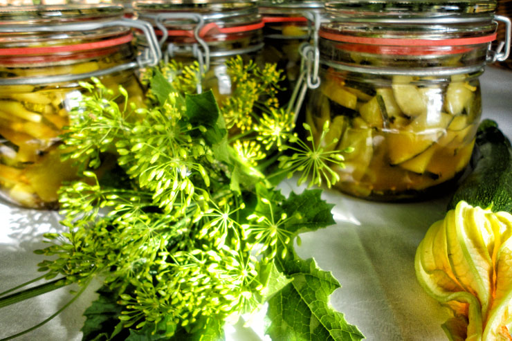easy selfmade kombucha vinegar - with a tasty pickled zucchini recipe - zucchini in glasses