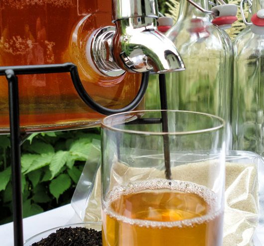 Alkoholfreier Kombucha: Geht das? – 6 Strategien für einen alkoholfreien Kombucha - Kombucha Getränk