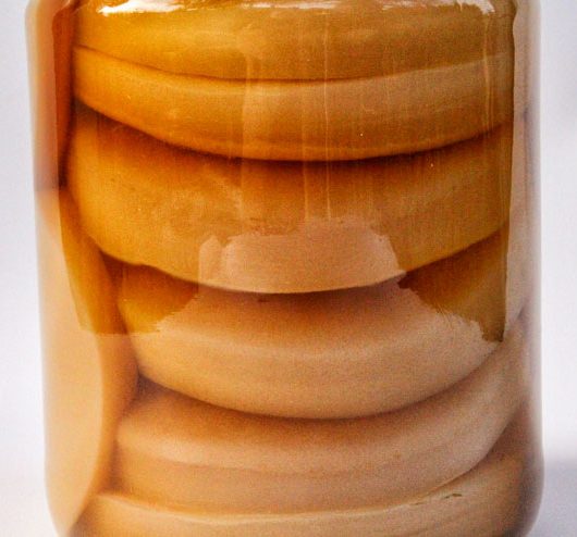 SCOBY Hotel – How to store your kombucha tea fungi - main pic