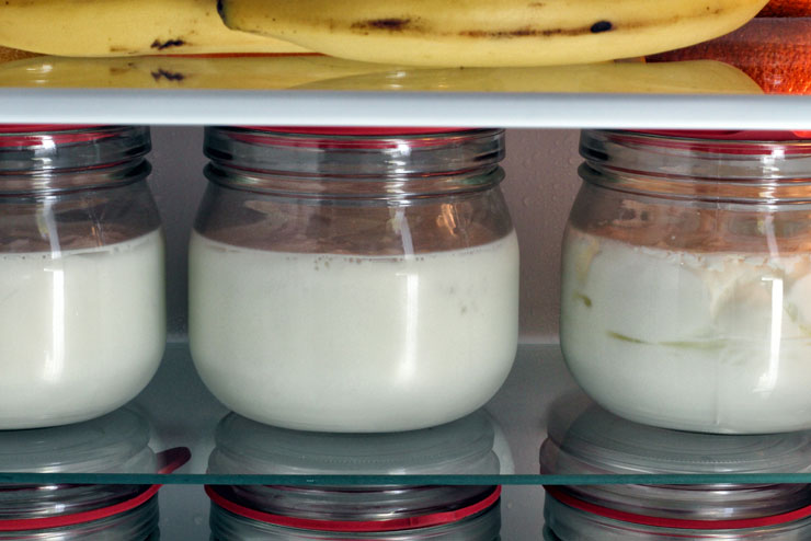 In unserem Buch über Fermentation lernst Du, wie Du den Laktosegehalt in Deinem selbst gemachten Kefir reduzieren kannst.