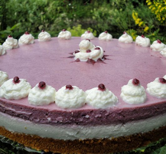 Elderberry Kefir Pie – a fruity-sweet Pleasure with homemade Milk Kefir