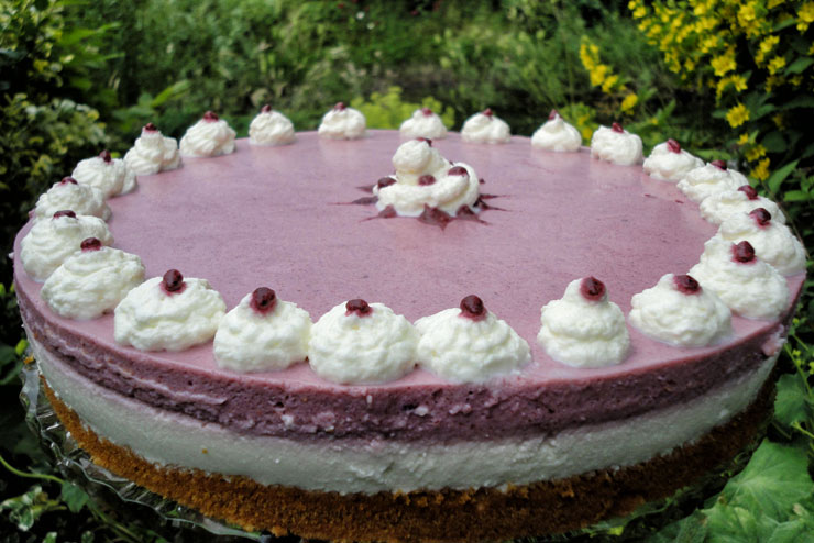 Holunder Kefir Torte – ein fruchtig süßer Genuss mit selbst gemachten Kefir