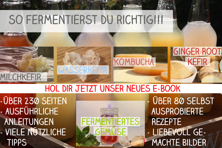 Kefir, Milchkefir, Kombucha, Sauerkraut, selber machen, Fermentieren, E-Book, Buch