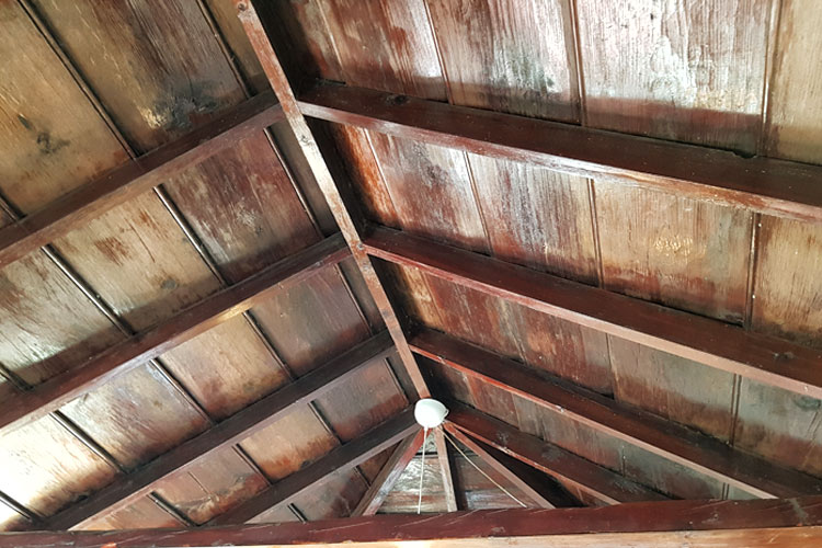 Permakultur Selbstversorger Finca La Palma Teaholzdach