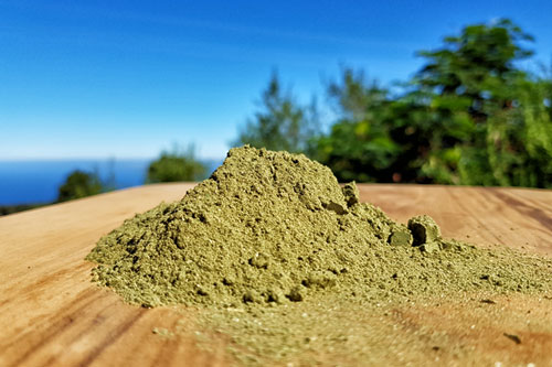 Erfahrungen mit Solis Green Medley von Lifeplus