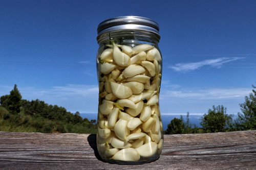 Knoblauch fermentieren - Ein super Rezept für die Fermentation