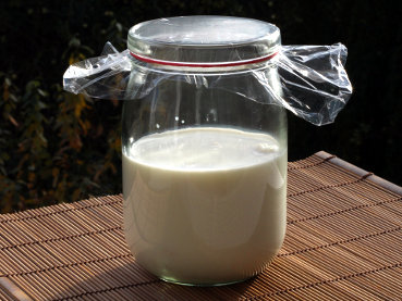 How to easy produce Kefir at home? Brewing Milk Kefir easy - Is Kefir healthy? - Guarantee of success -   guidance and tutorial for free Milk Kefir starter kit