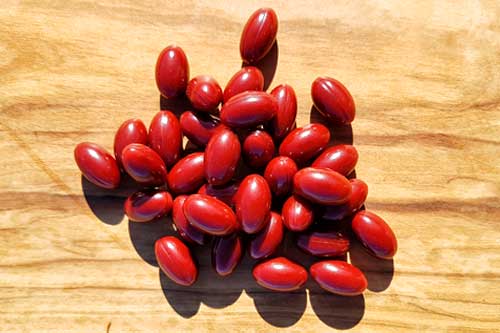 BEYOND omega | Das Omega-3 Produkt von Ringana