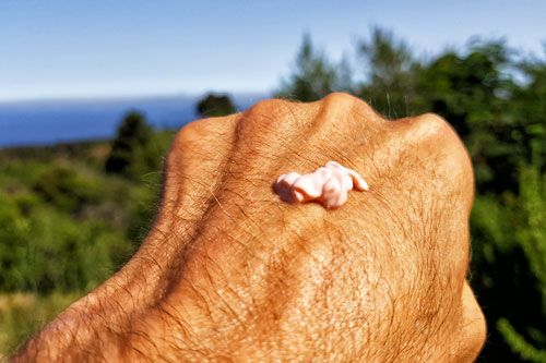 Sunscreen | Die natürliche Sonnencreme von Ringana