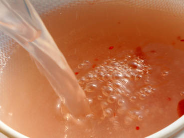 Köstlichen Wasserkefir mit getrockneten Cranberries herstellen - ein Erfahrungsbericht und Rezept