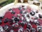 Preview: Fresh delicious organic water kefir [flavor blueberry & elder] - the finished drink - just order - open and enjoy :-) For everyone who doesn't feel like it or doesn't have time and just wants to enjoy this delicious sparkling water. Buy water kefir online