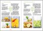 Preview: Möchten Sie gern leckere Wasserkefir Rezepte zum selber machen? Hier bekommen sie das Natural-Kefir-Drinks.de Rezepte E-Book mit den 5 besten Rezepten.