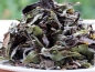 Preview: Pai Mu Tan - Ein edler Weißer Tee - Wollen Sie leckeren Kombucha Tee einfach selber herstellen und sicher bestellen? Hier finden Sie alles rund um den idealen Tee für Ihren Kombucha, Herstellanleitungen und leckere Rezepte Gratis, Komplettsets und Anfänge