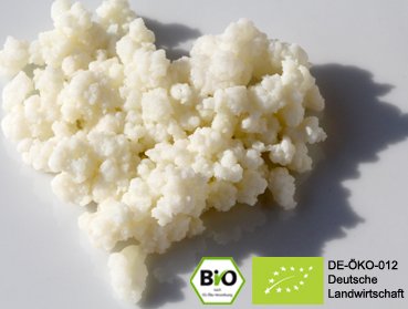 Make your own delicious organic milk kefir with the help of our real live kefir grains and benefit from the positive effect.