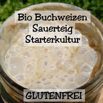 Jetzt glutenfreie Bio Buchweizen Sauerteigstarterkultur kaufen