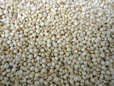 Preview: Would you like to refine milk kefir muesli with these exclusive organic tonsils. Here you can buy organic almonds online