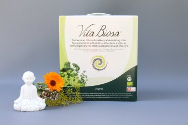 Preview: Vita Biosa Original 3 Liter Bag-in-Box in Organic Quality - Fermented Drink with lactic acid bacteria and herbs