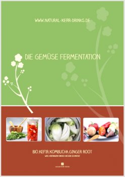 Wonderful 30-page recipe book for fermented vegetables (German version)