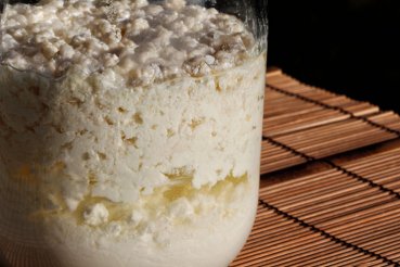 Preview: Would you like to enjoy original organic kefir and do not currently have the opportunity to make milk kefir with the kefir mushrooms yourself? Then you've come to the right place: Fresh, delicious organic kefir / milk kefir - made from real organic milk k