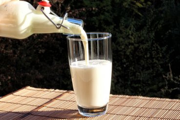 Preview: Would you like to enjoy original organic kefir and do not currently have the opportunity to make milk kefir with the kefir mushrooms yourself? Then you've come to the right place: Fresh, delicious organic kefir / milk kefir - made from real organic milk k