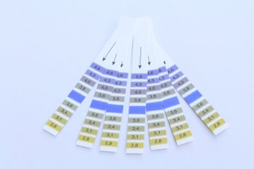 pH test strips for Kombucha, Kefir & Co.