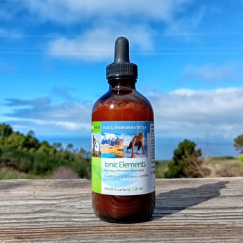 10 Tage Transformation mit Beerengeschmack von Platinum Health Europe