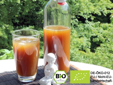 Wollen Sie leckere Bio Ginger Root Wasserkefir Limonade | Kefir Drink mit Hilfe von echten Ginger Root Kefirkristallen selbst herstellen und von der positiven Wirkung profitieren? Hier Ginger Root Plant online kaufen