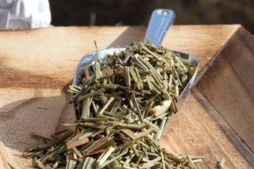 Lemongrass - The fragrance wonder for every kitchen - 250g