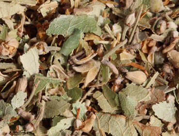 Would you like to make or brew your own kombucha tea with this delicious Lime Blossoms tea? Here you can order Lime Blossoms tea online safe and secure at the best price