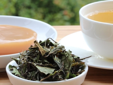 Pai Mu Tan - Ein edler Weißer Tee - Wollen Sie leckeren Kombucha Tee einfach selber herstellen und sicher bestellen? Hier finden Sie alles rund um den idealen Tee für Ihren Kombucha, Herstellanleitungen und leckere Rezepte Gratis, Komplettsets und Anfänge