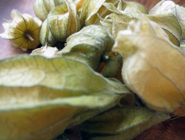 - Kopie - Kopie - Kopie - Kopie