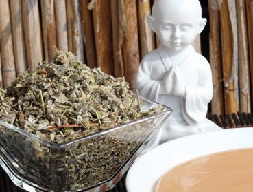 Salbeiblätter - echter Salbei für echten Genuss - Wollen Sie leckeren Kombucha Tee einfach selber herstellen und sicher bestellen? Hier finden Sie alles rund um den idealen Tee für Ihren Kombucha, Herstellanleitungen und leckere Rezepte Gratis, Komplettse