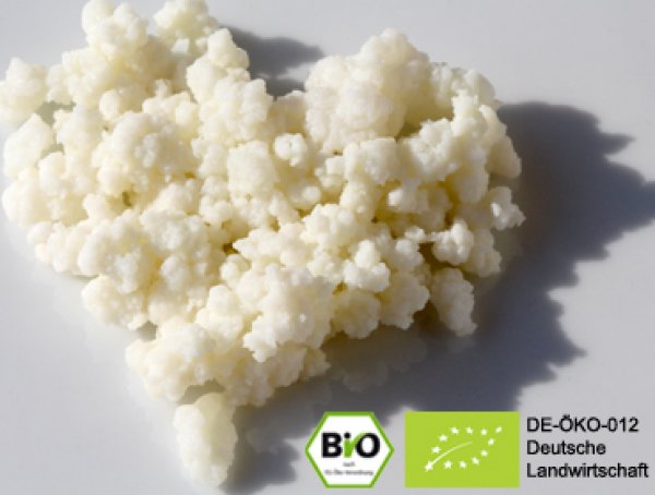 Make your own delicious organic milk kefir with the help of our real live kefir grains and benefit from the positive effect.