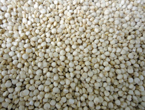 Wollen Sie Milchkefir bzw. Kefir Müsli mit diesen exklusiven Bio Mandelkernen verfeinern? Hier getrocknete Bio Mandelkerne online kaufen