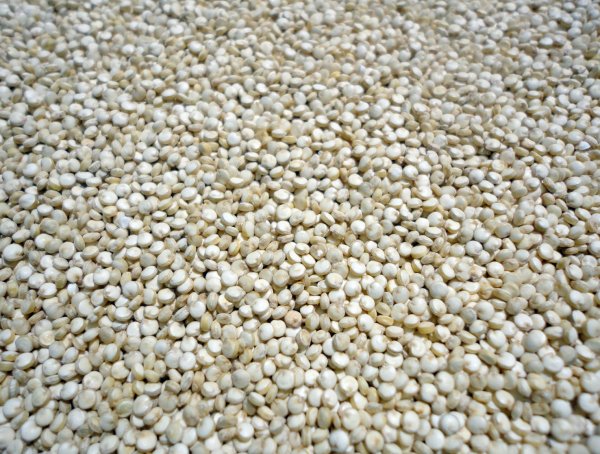 Wollen Sie Milchkefir bzw. Kefir Müsli mit diesen exklusiven Bio Mandelkernen verfeinern? Hier getrocknete Bio Mandelkerne online kaufen