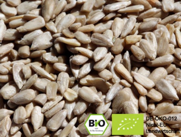 Would you like to refine milk kefir muesli with these exclusive organic sunflower seed. Here you can buy organic sunflower seed online