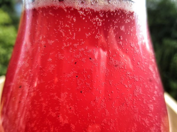 Fresh delicious organic water kefir [flavor blueberry & elder] - the finished drink - just order - open and enjoy :-) For everyone who doesn't feel like it or doesn't have time and just wants to enjoy this delicious sparkling water. Buy water kefir online