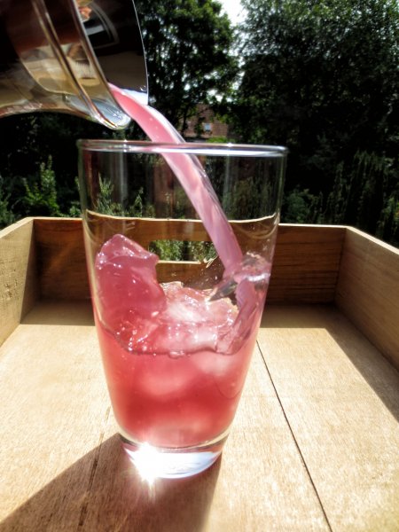 Fresh delicious organic water kefir [flavor blueberry & elder] - the finished drink - just order - open and enjoy :-) For everyone who doesn't feel like it or doesn't have time and just wants to enjoy this delicious sparkling water. Buy water kefir online