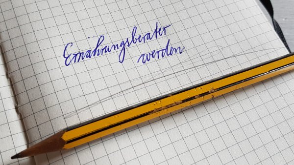 Education "Vegane / R Nutrition Consultant" | individual responsibility